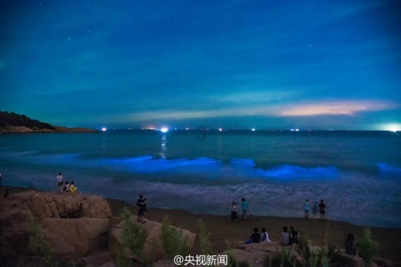 了解关于怎么将仙人球养的又大又漂亮?的最新信息-怎么将仙人球养的又大又漂亮?红迪网平台